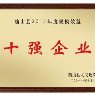 十強(qiáng)企業(yè)